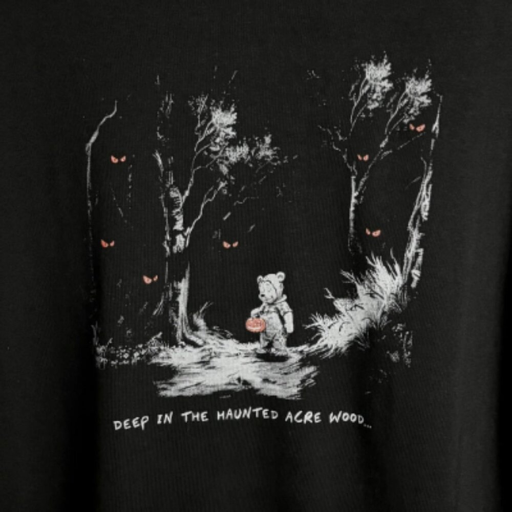 Park Hop Tee's Haunted Acre Wood Tee - Heavyweight Oversized Fit XL